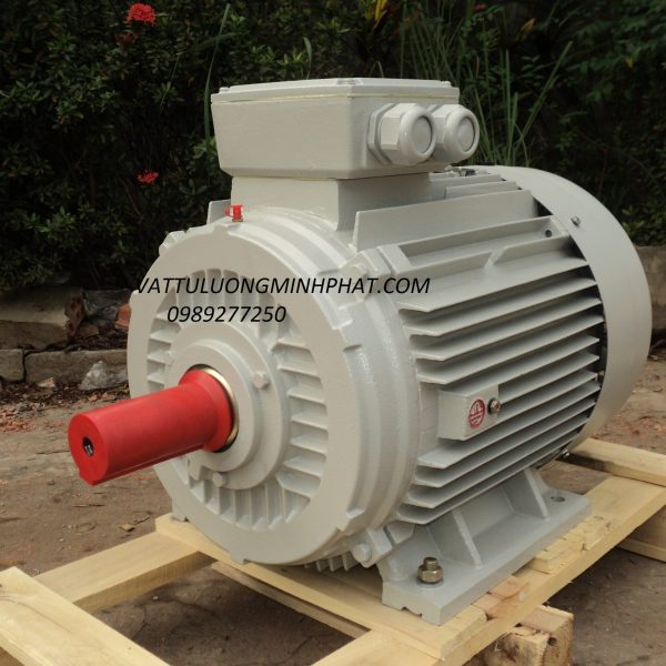 Đại lý motor điện - motor giảm tốc - hộp số giảm tốc....